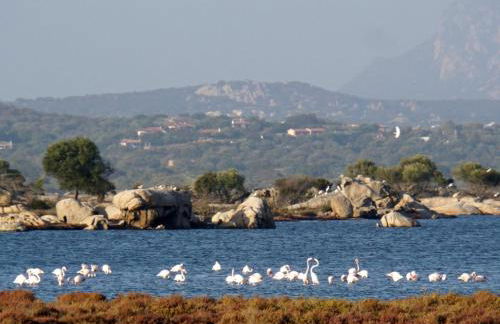 Villa Alzoni - Foto 42