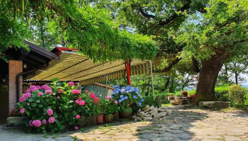 Agriturismo Il Burlino Apartments - Foto 5