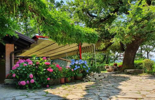 Agriturismo Il Burlino Apartments - Foto 5