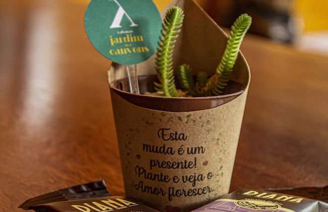 Cabanas Jardim dos Canyons - Foto 2