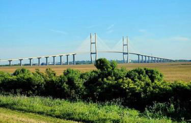 Turtle Tracks B - Foto 15