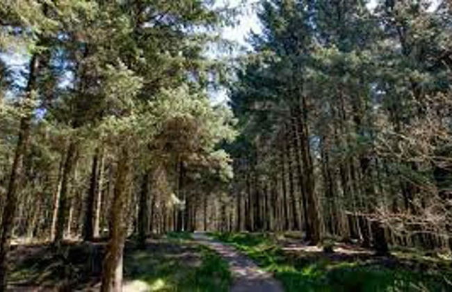 The Shippon -hot Tub ext chg - Superking-log Fire - Foto 25