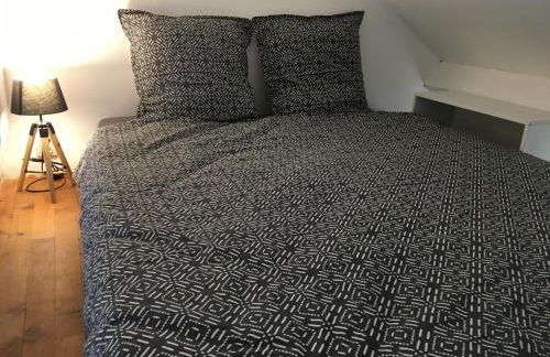 Le Chaudron d'Or - 41m2 - Hyper Centre - Mezzanine - Clim - WIFI HD - Foto 16