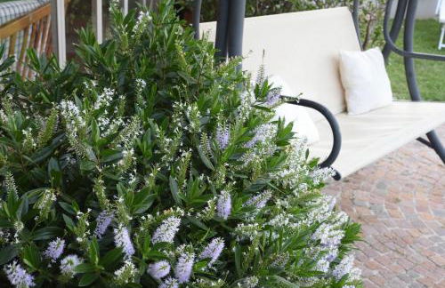 Profumi... - Foto 15