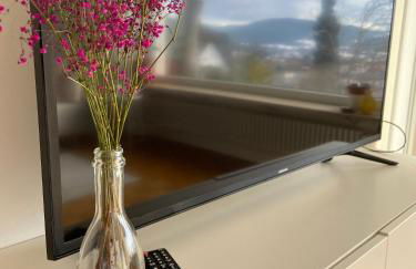 Lichtblick unter der Buche - Foto 7