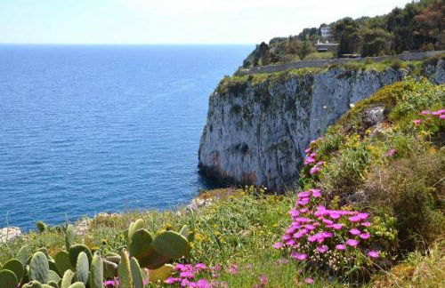 Cottage Vittoria - Marina di Novaglie - Foto 39