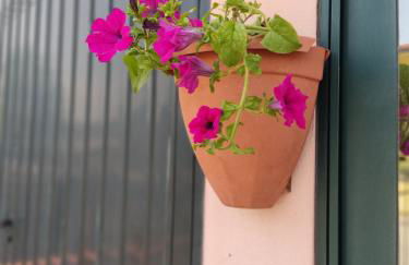 Villetta Gina a San Giuseppe - Lido di Pomposa - Foto 12