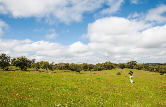 Casas de Romaria de Brotas - Foto 26