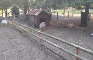 Darpvenner Diele - Foto 7