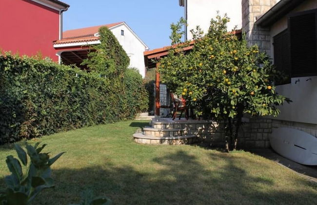 Apartment 845 - Photo 11