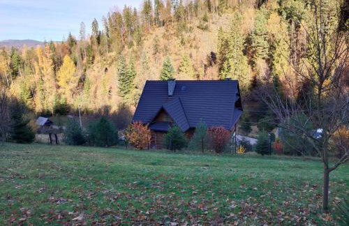 Serce Gorców - Photo 15