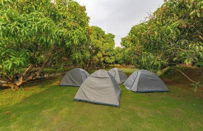 Q Mango Resort - Foto 8