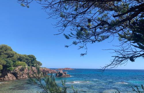 Studio climatisé avec piscine - Foto 18