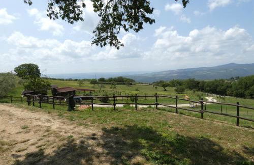 Scappo in Umbria, Le Salce - Foto 42