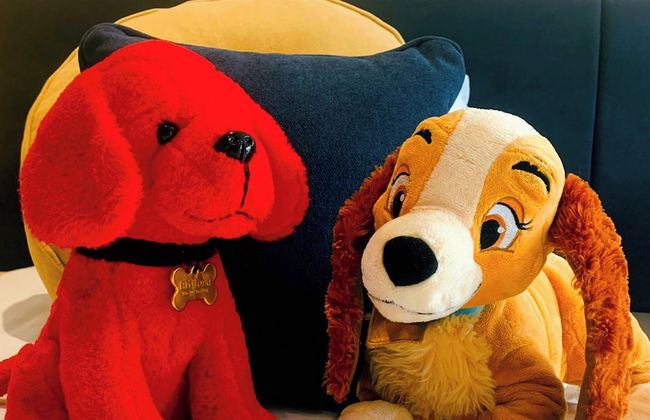 St. Tinney Farm - Photo 48