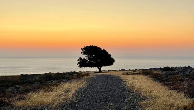 Small group hiking from Pefkos to Navarone Bay at sunrise - Photo 3