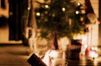 Świerkowisko cisza las plaża blisko - Foto 28