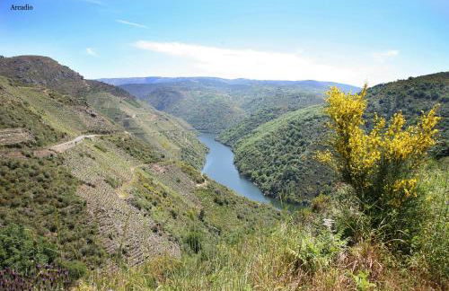 Casa Ruperto - Foto 48