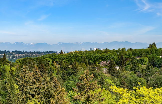 Seattle Vacation Home: The Tuscan Villa - Foto 45