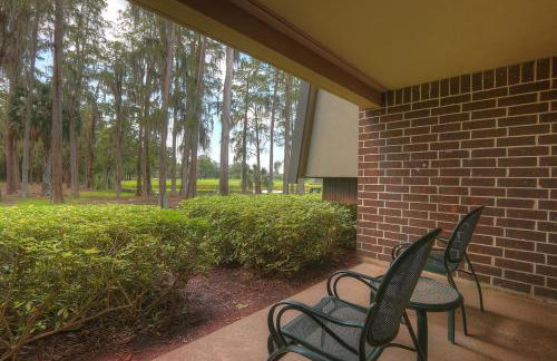 Luxury 1 Bedroom Condo in Palm Harbor Florida 2 Miles From Beach by David Rigney Real Estate Solutions - Foto 2