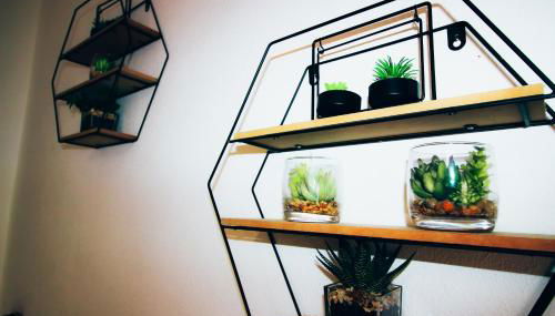 Flor do Mar - Photo 3