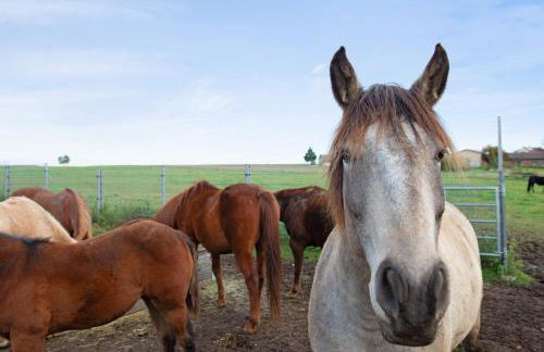 Ferienhaus Reis - Foto 25