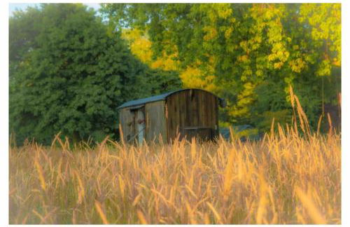 Mountbatten Shepherds hut & Buckhurst Shepherds hut - Foto 13