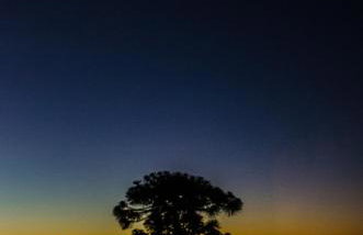 Casa Cerqua Landi Napoli - Luxury House Capri's view - Photo 23