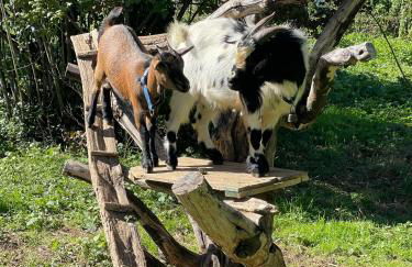 Domaine de Montfort - Foto 49