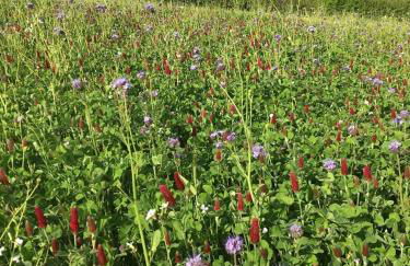 Jacks Cottage - Foto 36