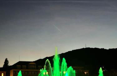 Apartments Gala, ruhige Lage, stadtnah - Foto 76