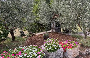 NEW Apartment Ema II - Foto 31