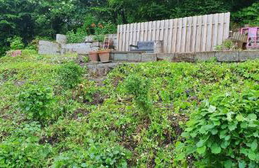 Ferienhaus am Wald - Foto 14