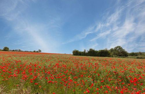 The Artist's Studio at Meadow Cottage - Photo 18
