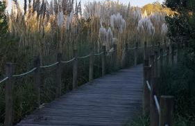 Casa Lagoa Verde - Foto 62