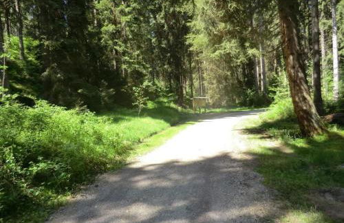 Holiday Home Irenahaus by Interhome - Foto 28