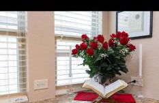 Texas Classic Retreat - Foto 43