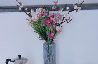 Mosahouse - Foto 17