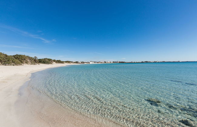 Tenuta Fioravante - Foto 32