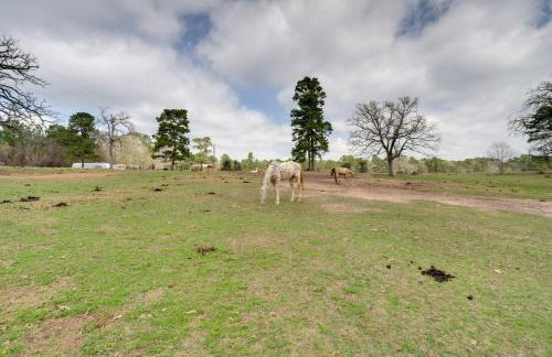 Tranquil Plantersville Cabin Farm Animals On-Site - Foto 23