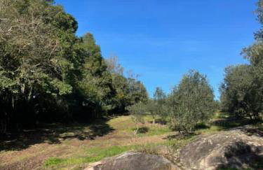 Cabana Romântica em Pelotas - Photo 16