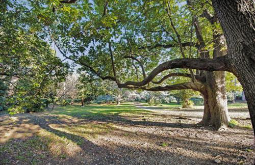 Casa Azzurra - Foto 20