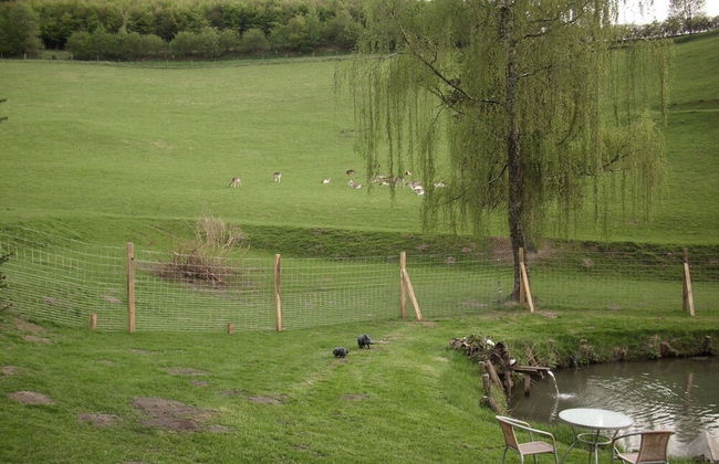 Apartment in Bruchhausen Right on the Fishing River - Foto 48