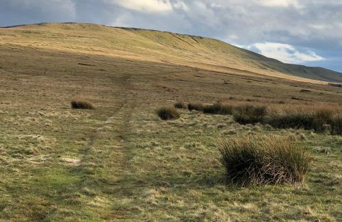 Coverdale cottage - Photo 63