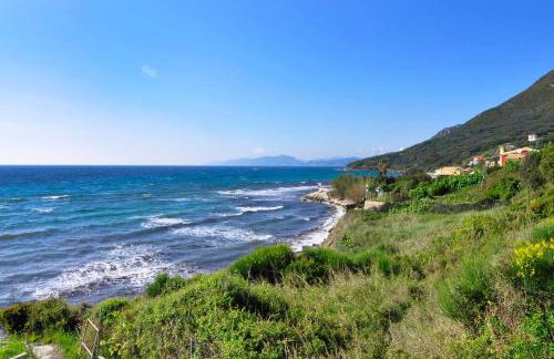 Sunset Cottage - Photo 39