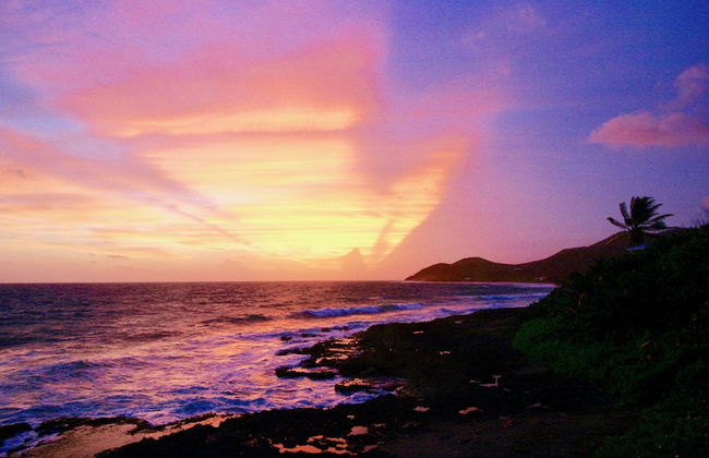 Sea View Play - Photo 54