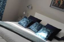 Cactus house - Foto 19