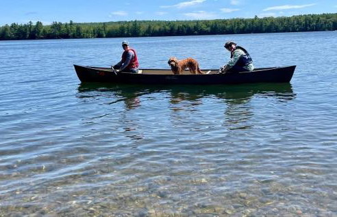 Hammock Haven Island Dome - Foto 12