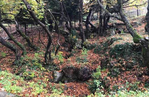 Το σπιτάκι του Σπύρου - Foto 21
