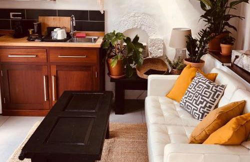 Sala Botanica Studio - Shared Pool - Central Island Location - 10 mins drive to Famara and La Santa - Foto 8